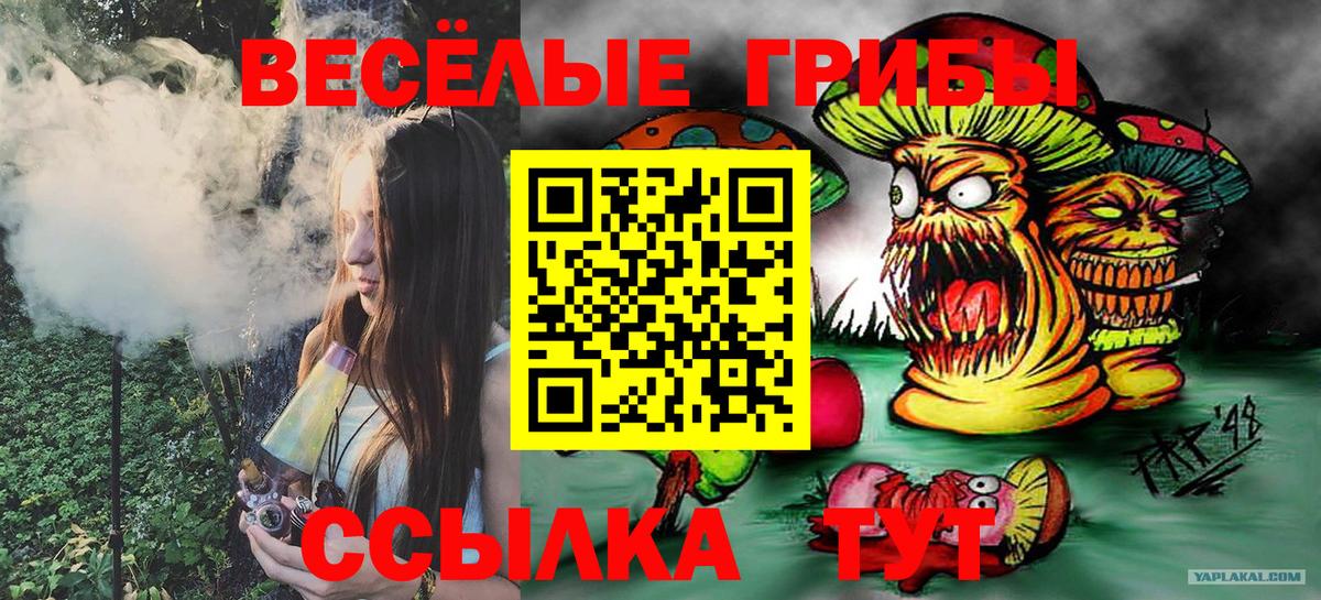 Псилоцибиновые грибы мухоморы Рыбинск