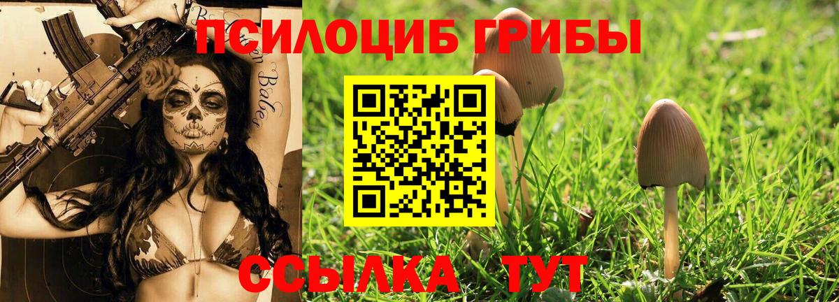 Псилоцибиновые грибы Cubensis  Вход с VPN  Рыбинск 